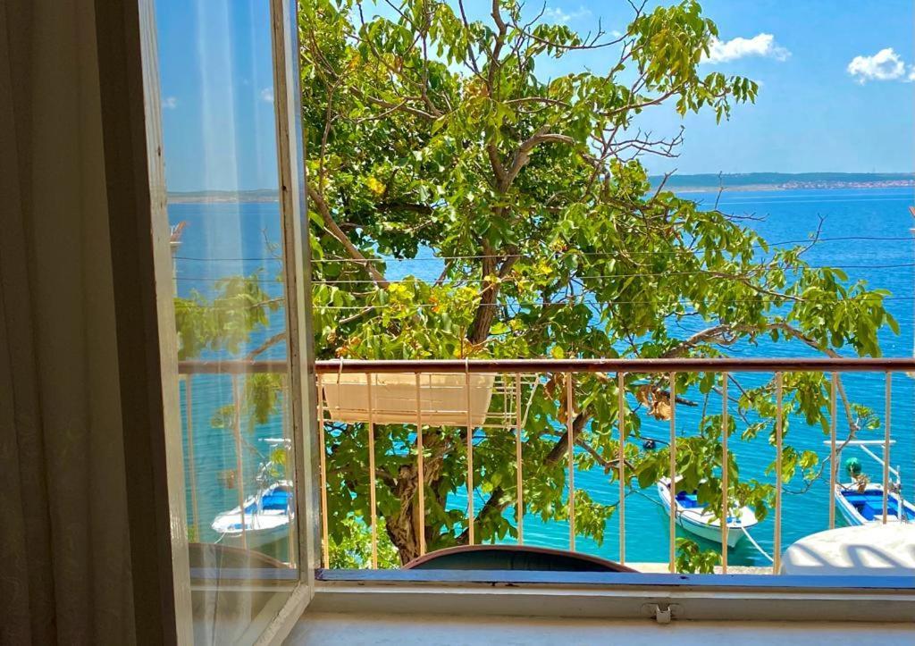 Porat Apartment สตารีกราด-ปาเคลนีซา ภายนอก รูปภาพ